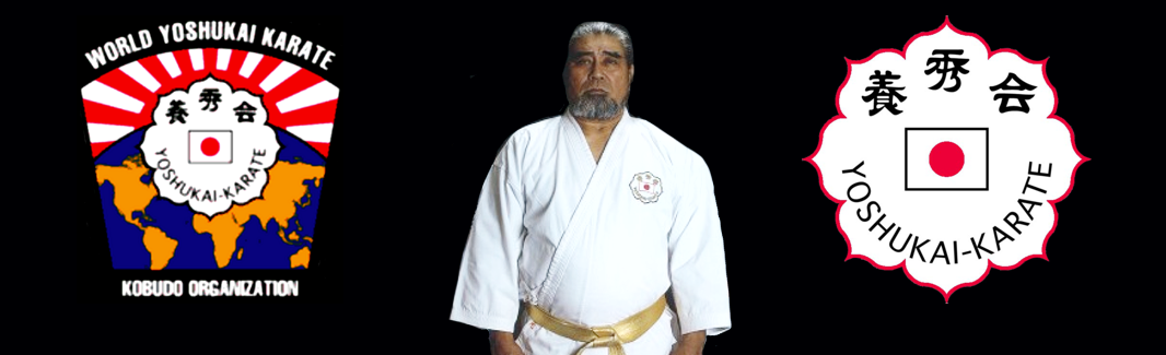 World Yoshukai Karate Kobudo Organization banner